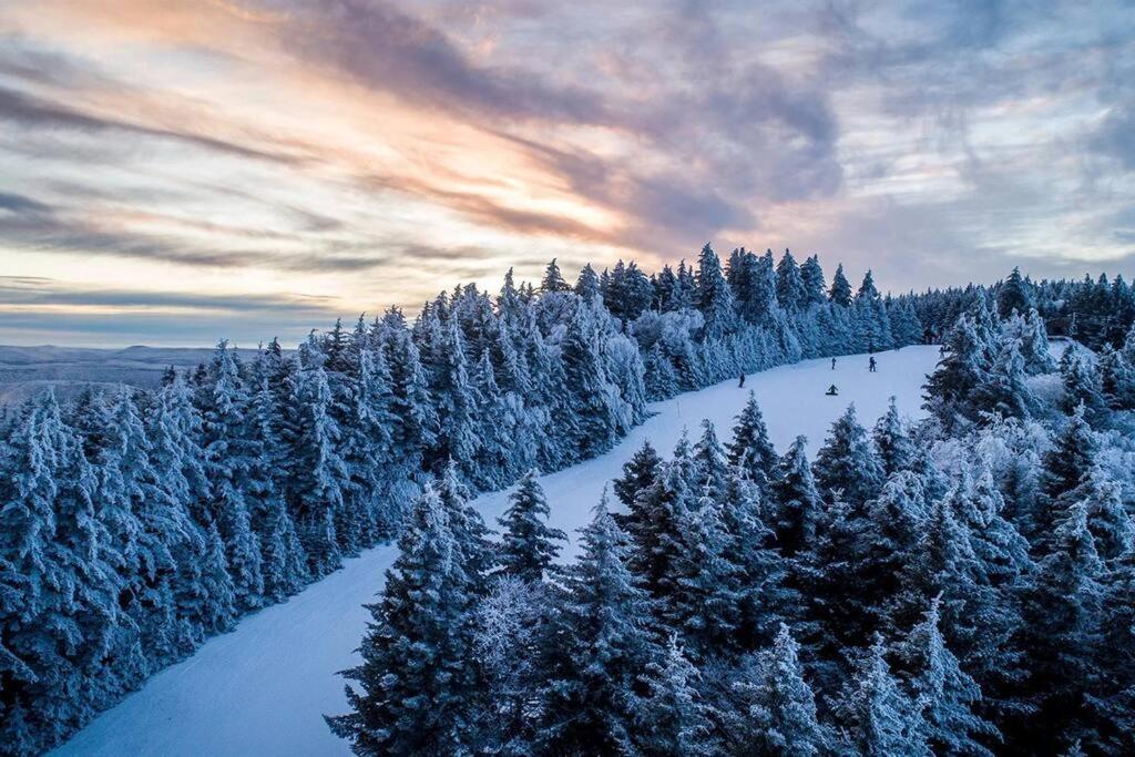 Mountain Lodge Getaway, Ski-In/Ski-Out, Heart Of The Village Snowshoe Extérieur photo